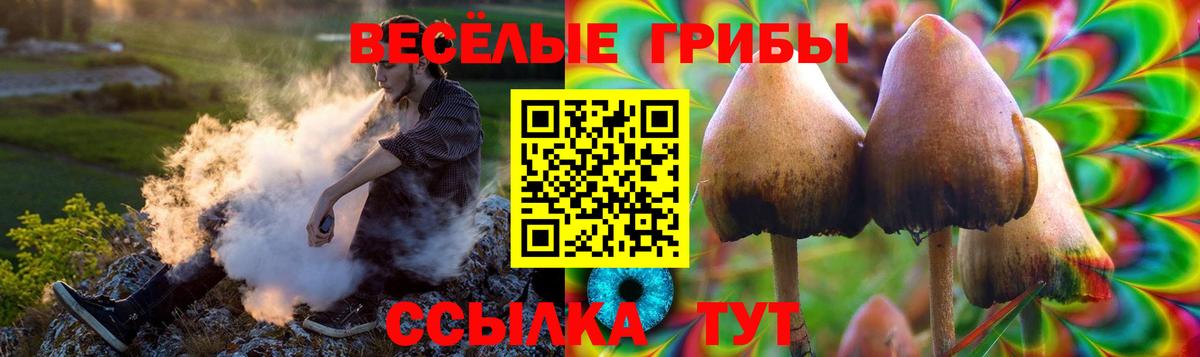 Псилоцибиновые грибы MAGIC MUSHROOMS  Вход с VPN  Лесной  Псилоцибиновые грибы Magic Shrooms 